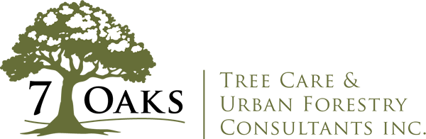 7 Oaks Tree Care Logo